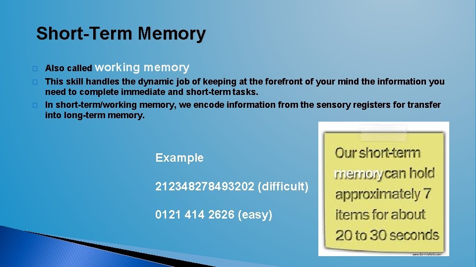 Short-Term Memory � � � Also called working memory This skill handles the dynamic Short-Term Memory � � � Also called working memory This skill handles the dynamic