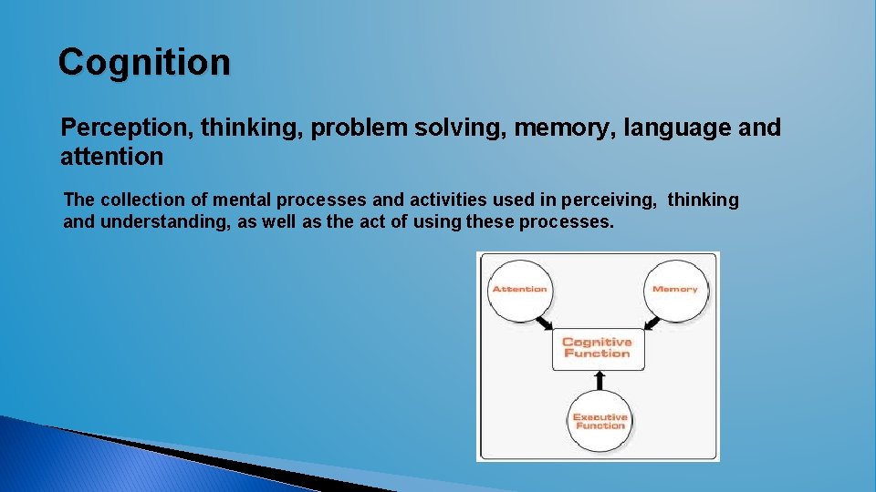Cognition Perception, thinking, problem solving, memory, language and attention The collection of mental processes Cognition Perception, thinking, problem solving, memory, language and attention The collection of mental processes