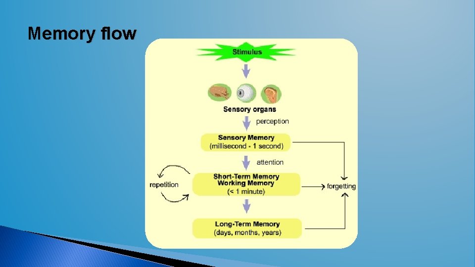 Memory flow  Memory flow