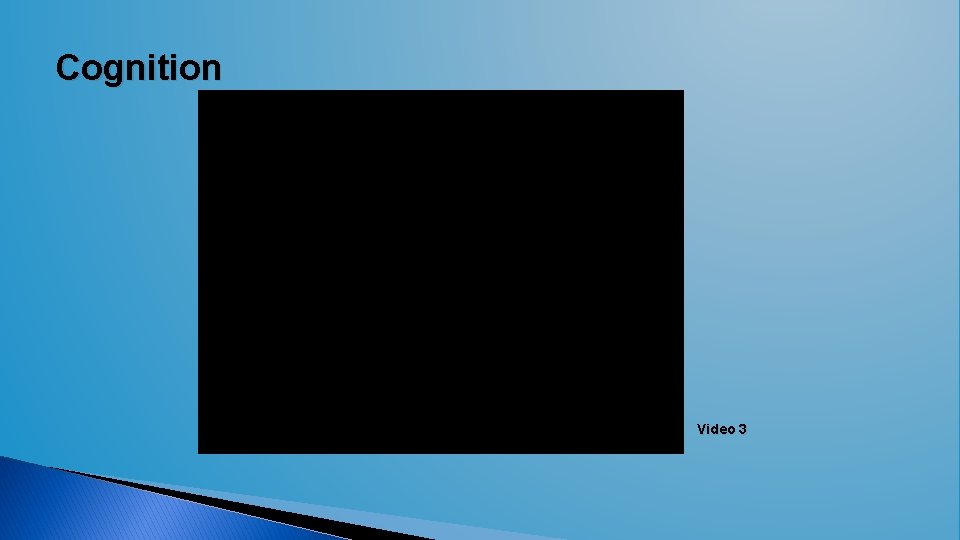 Cognition Video 3  Cognition Video 3