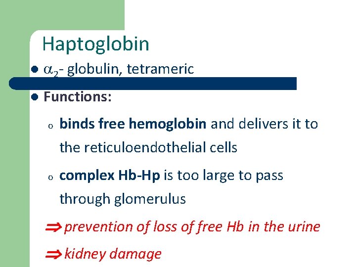 Haptoglobin l 2 - globulin, tetrameric l Functions: o o binds free hemoglobin and