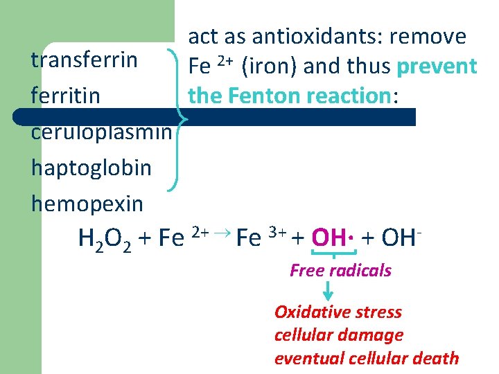 transferrin ferritin ceruloplasmin haptoglobin hemopexin act as antioxidants: remove Fe 2+ (iron) and thus
