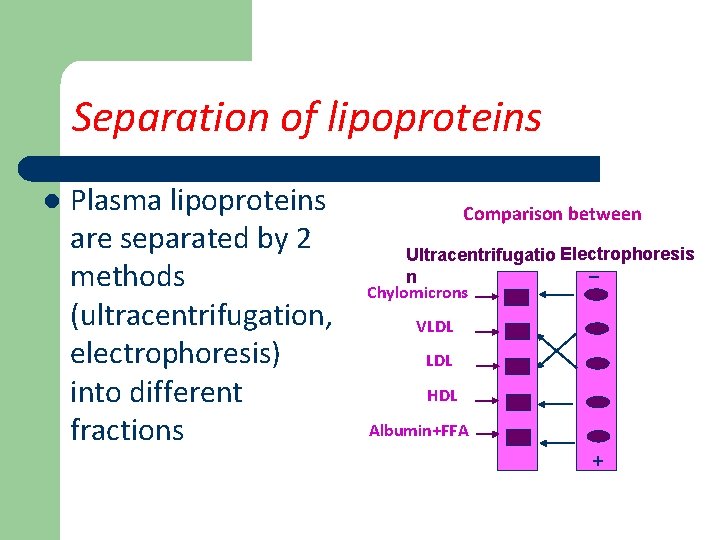 Separation of lipoproteins l Plasma lipoproteins are separated by 2 methods (ultracentrifugation, electrophoresis) into