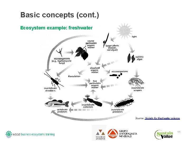 Basic concepts (cont. ) Ecosystem example: freshwater Source: Society for freshwater science 11 