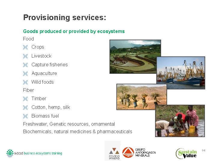 Provisioning services: Goods produced or provided by ecosystems Food Ë Crops Ë Livestock Ë