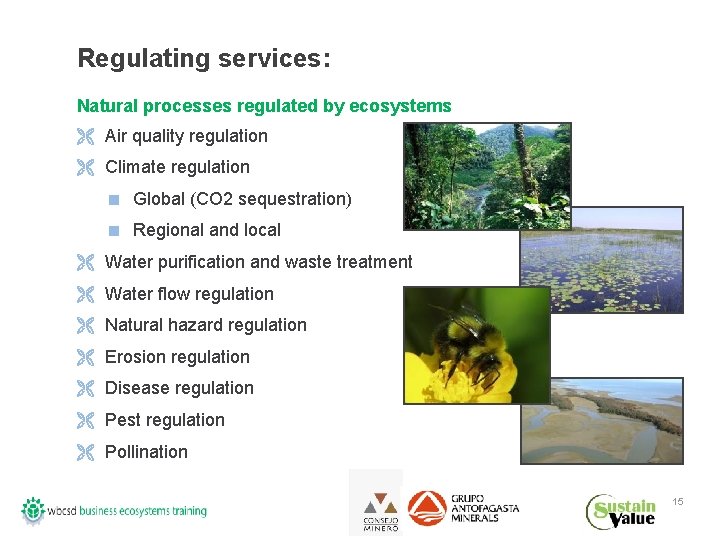 Regulating services: Natural processes regulated by ecosystems Ë Air quality regulation Ë Climate regulation