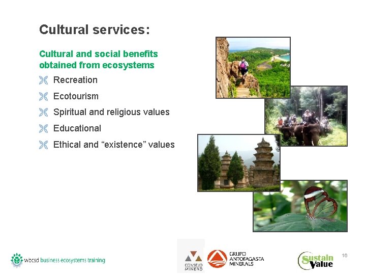 Cultural services: Cultural and social benefits obtained from ecosystems Ë Recreation Ë Ecotourism Ë