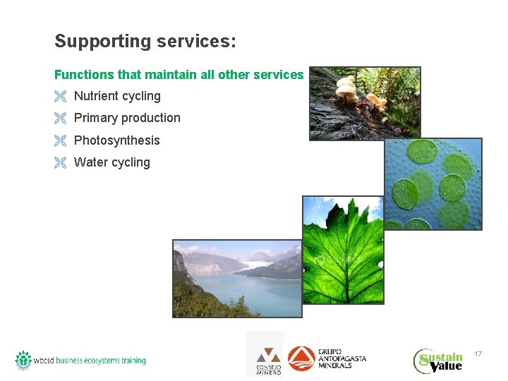 Supporting services: Functions that maintain all other services Ë Nutrient cycling Ë Primary production