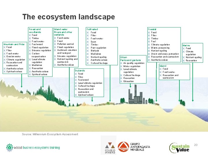 The ecosystem landscape Mountain and Polar Ë Food Ë Fiber Ë Fresh water Ë