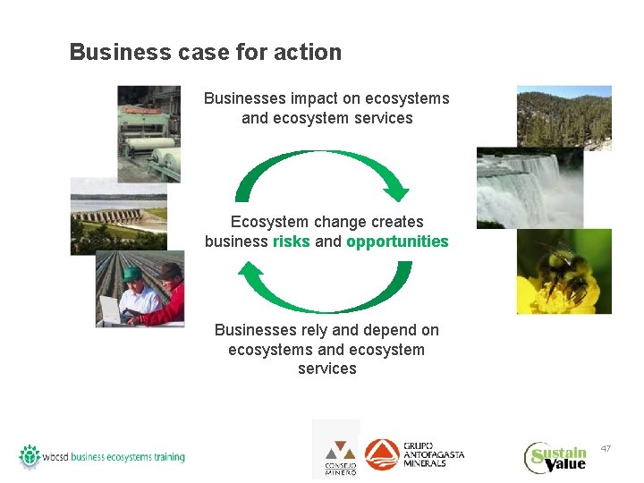 Business case for action Businesses impact on ecosystems and ecosystem services Ecosystem change creates