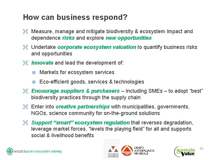 How can business respond? Ë Measure, manage and mitigate biodiversity & ecosystem impact and