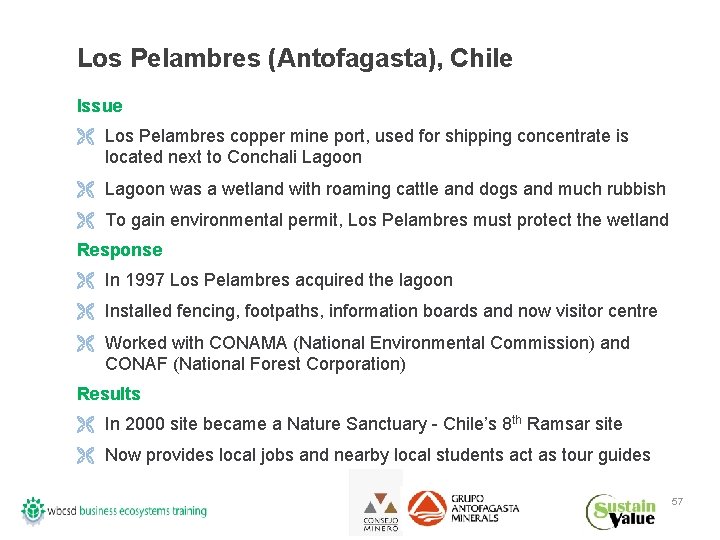 Los Pelambres (Antofagasta), Chile Issue Ë Los Pelambres copper mine port, used for shipping
