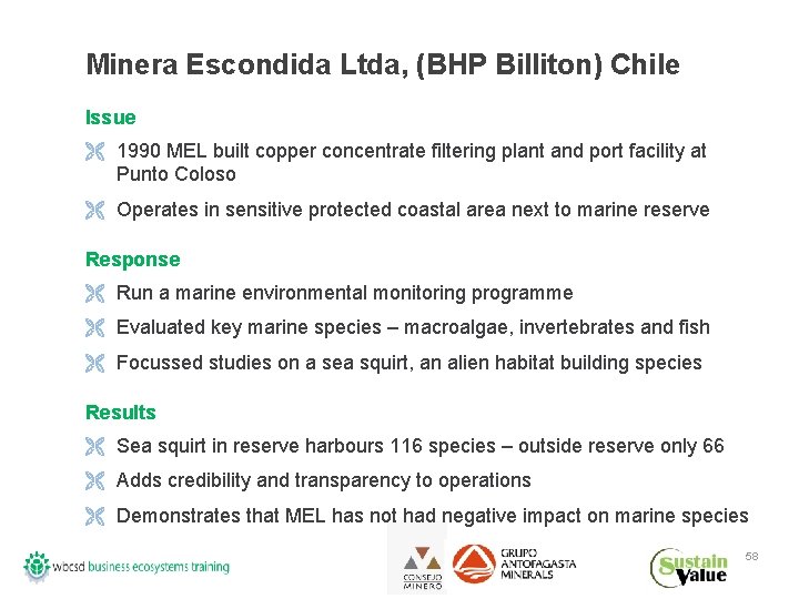 Minera Escondida Ltda, (BHP Billiton) Chile Issue Ë 1990 MEL built copper concentrate filtering