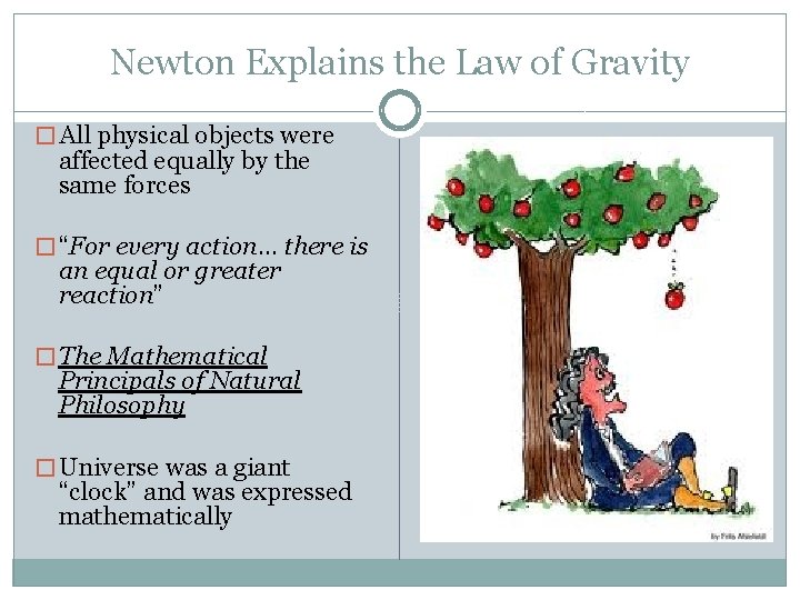 Newton Explains the Law of Gravity � All physical objects were affected equally by