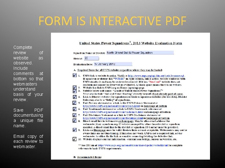 FORM IS INTERACTIVE PDF Complete review of website as observed. Include comments at bottom