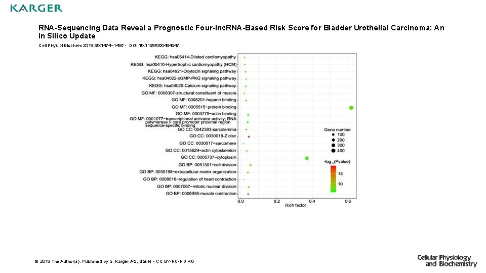 RNA-Sequencing Data Reveal a Prognostic Four-lnc. RNA-Based Risk Score for Bladder Urothelial Carcinoma: An