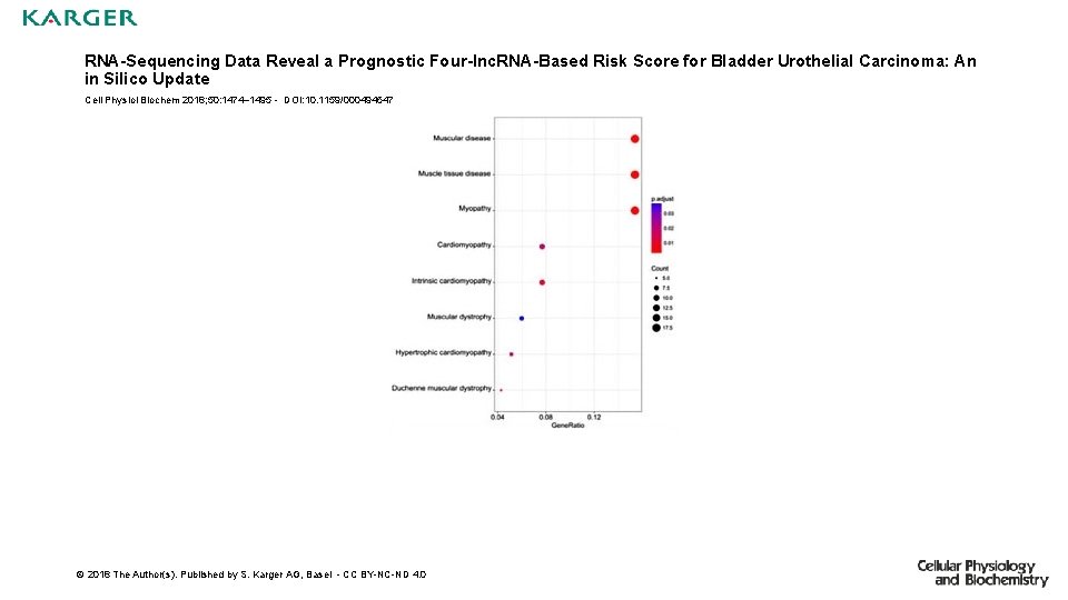 RNA-Sequencing Data Reveal a Prognostic Four-lnc. RNA-Based Risk Score for Bladder Urothelial Carcinoma: An