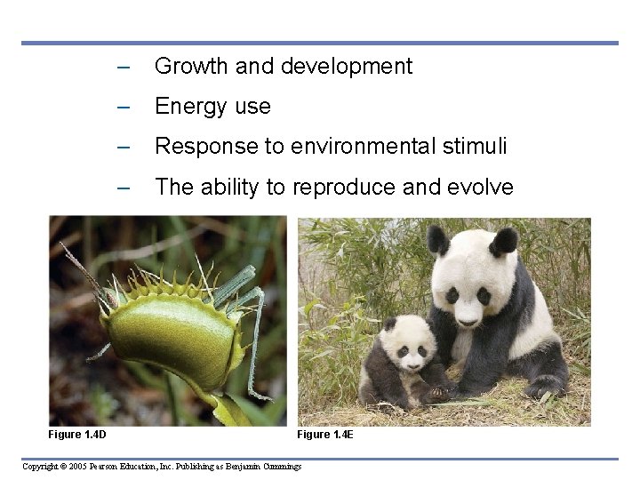 Figure 1. 4 D – Growth and development – Energy use – Response to