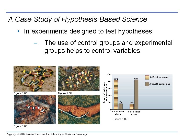 A Case Study of Hypothesis-Based Science • In experiments designed to test hypotheses –