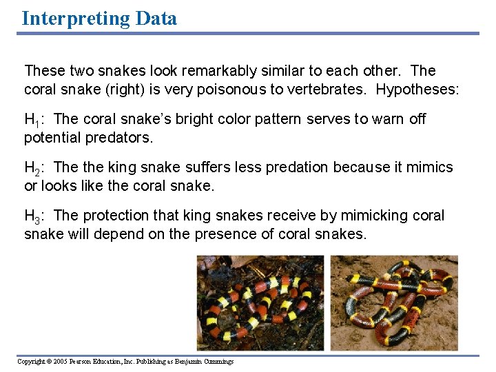 Interpreting Data These two snakes look remarkably similar to each other. The coral snake