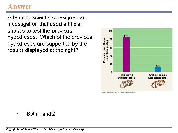 Answer A team of scientists designed an investigation that used artificial snakes to test