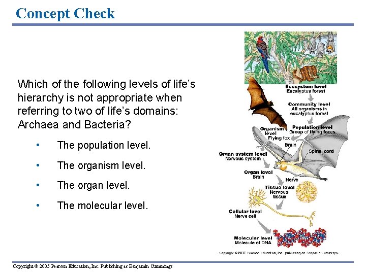 Concept Check Which of the following levels of life’s hierarchy is not appropriate when