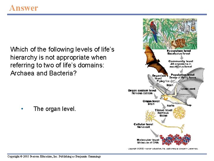 Answer Which of the following levels of life’s hierarchy is not appropriate when referring