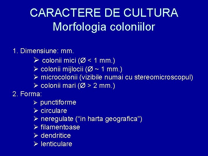 CARACTERE DE CULTURA Morfologia coloniilor 1. Dimensiune: mm. Ø colonii mici (Ø < 1