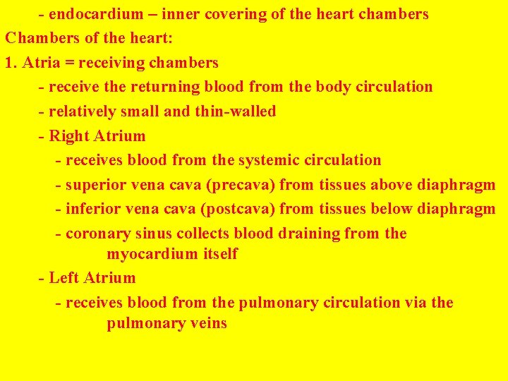 - endocardium – inner covering of the heart chambers Chambers of the heart: 1.