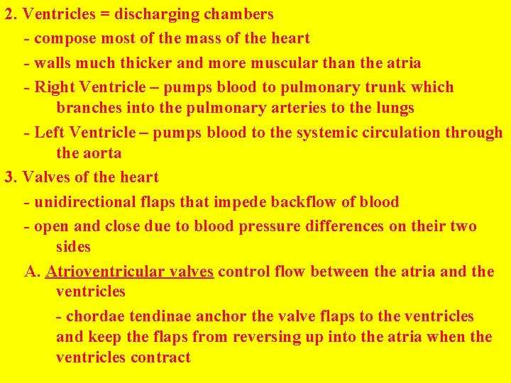 2. Ventricles = discharging chambers - compose most of the mass of the heart