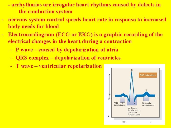 - arrhythmias are irregular heart rhythms caused by defects in the conduction system -