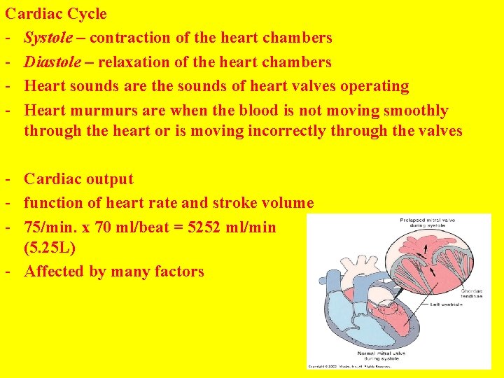 Cardiac Cycle - Systole – contraction of the heart chambers - Diastole – relaxation