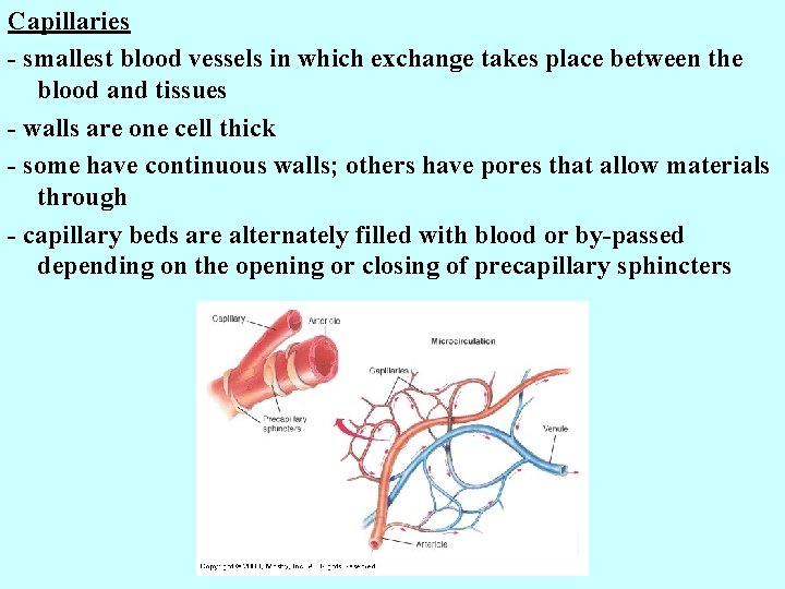 Capillaries - smallest blood vessels in which exchange takes place between the blood and