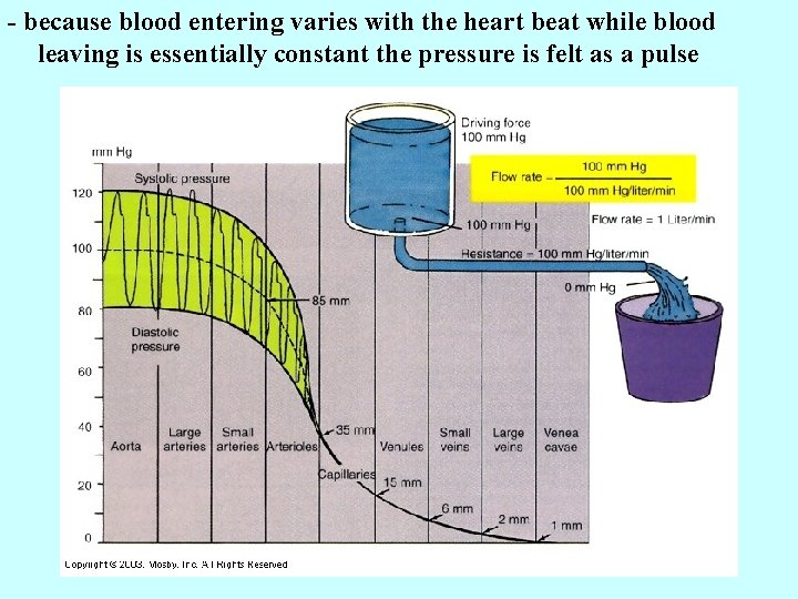 - because blood entering varies with the heart beat while blood leaving is essentially