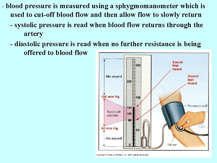 - blood pressure is measured using a sphygmomanometer which is used to cut-off blood