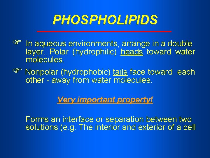 PHOSPHOLIPIDS In aqueous environments, arrange in a double layer. Polar (hydrophilic) heads toward water