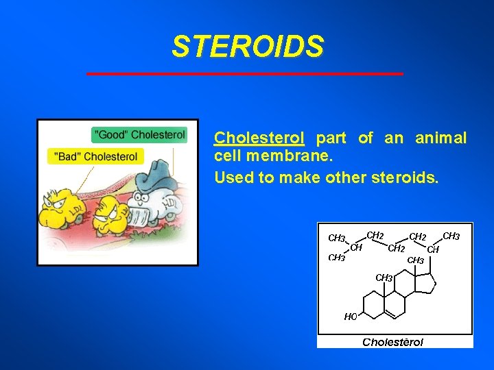 STEROIDS Cholesterol part of an animal cell membrane. Used to make other steroids. 