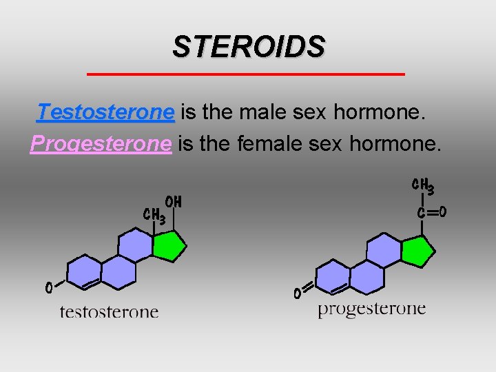 STEROIDS Testosterone is the male sex hormone. Progesterone is the female sex hormone. 