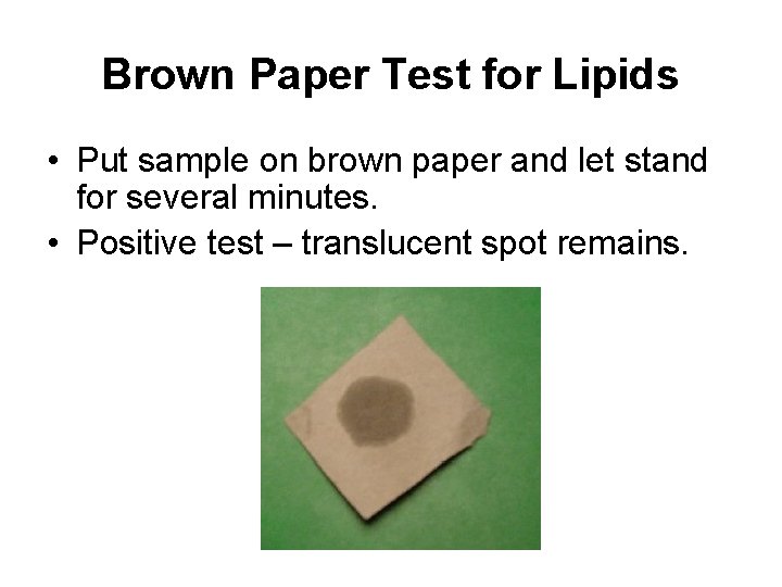 Brown Paper Test for Lipids • Put sample on brown paper and let stand