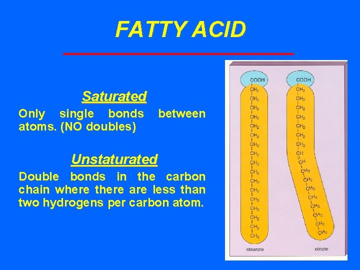 FATTY ACID Saturated Only single bonds atoms. (NO doubles) between Unstaturated Double bonds in