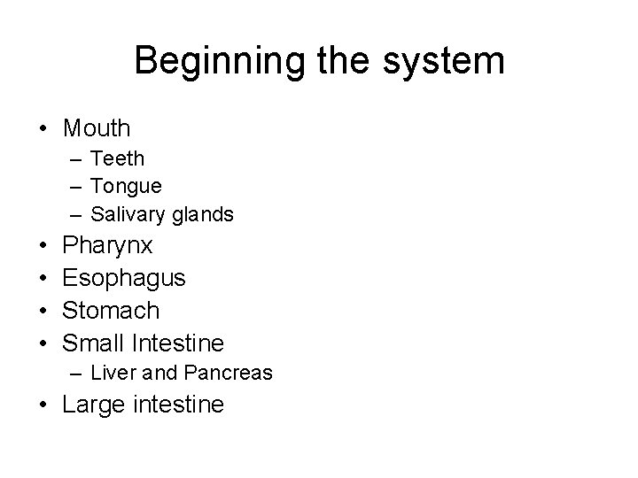 Beginning the system • Mouth – Teeth – Tongue – Salivary glands • • Beginning the system • Mouth – Teeth – Tongue – Salivary glands • •