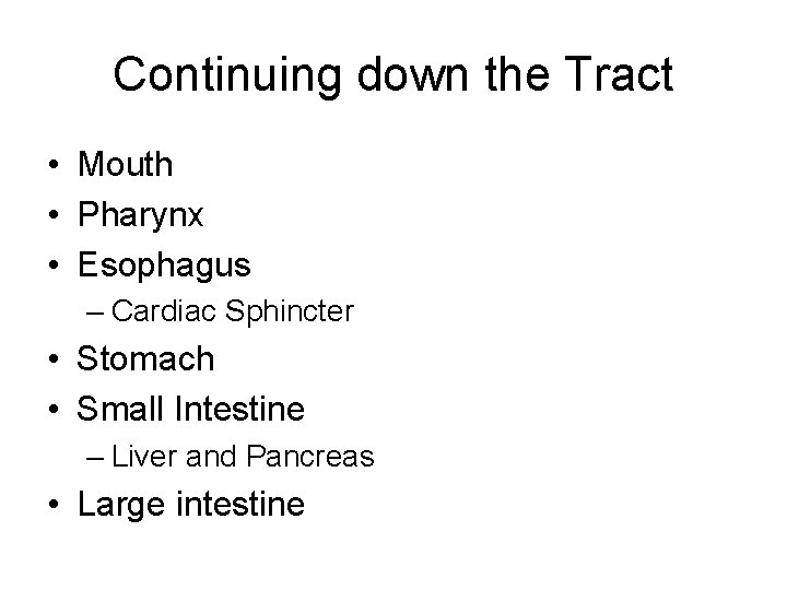Continuing down the Tract • Mouth • Pharynx • Esophagus – Cardiac Sphincter • Continuing down the Tract • Mouth • Pharynx • Esophagus – Cardiac Sphincter •