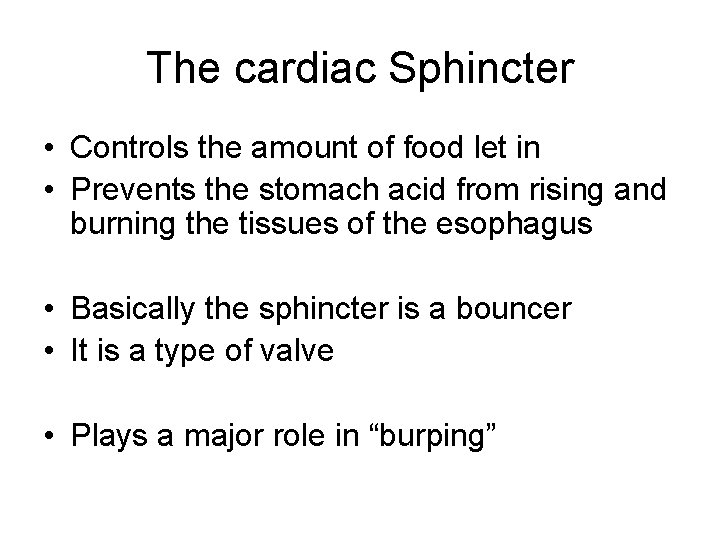 The cardiac Sphincter • Controls the amount of food let in • Prevents the The cardiac Sphincter • Controls the amount of food let in • Prevents the