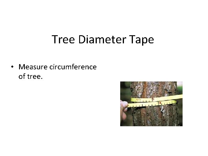 Tree Diameter Tape • Measure circumference of tree. 