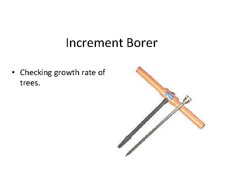 Increment Borer • Checking growth rate of trees. 