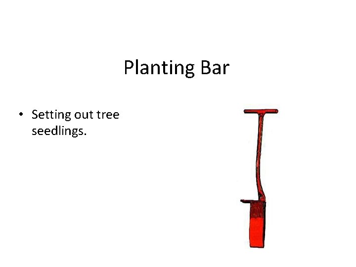 Planting Bar • Setting out tree seedlings. 