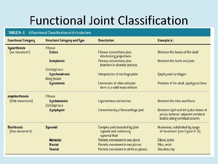 Functional Joint Classification 