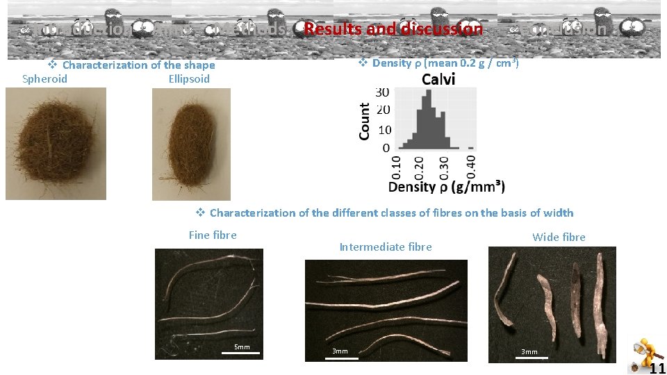 Introduction Aims Methods Results and discussion Conclusion v Density ρ (mean 0. 2 g