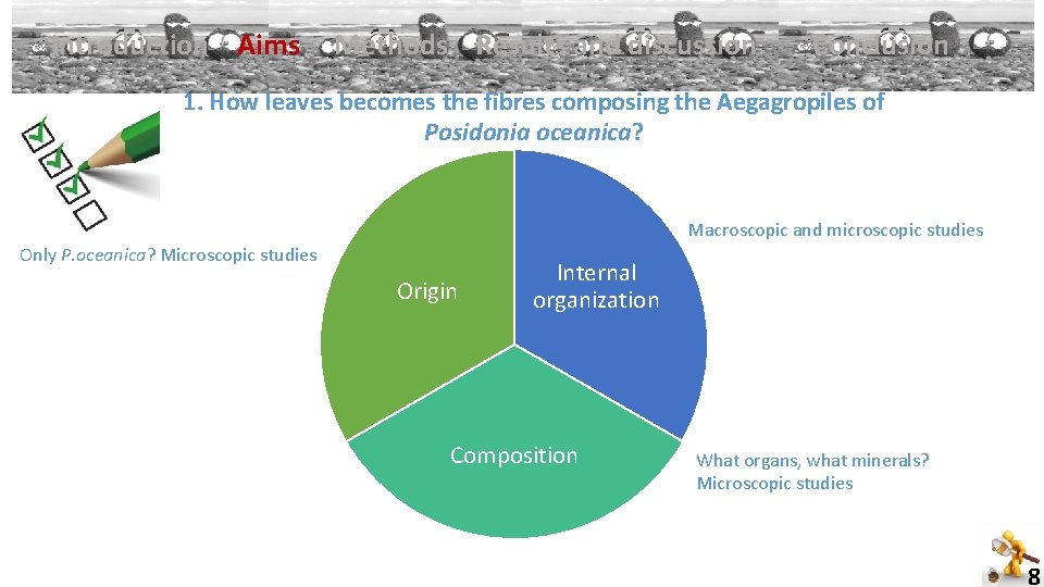 ü Introduction ü Objectifs Aims Methods Results and discussion Conclusion 1. How leaves becomes