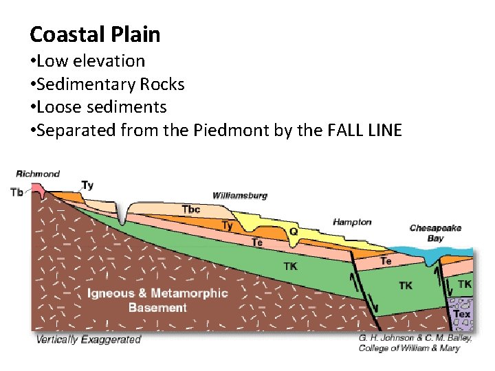 Coastal Plain • Low elevation • Sedimentary Rocks • Loose sediments • Separated from